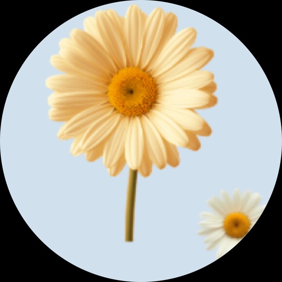 justsodaisy